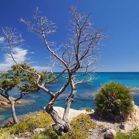 Villa Vera Trifamigliare Con Ingresso Diretto 20 Mt Al Mare Clima Wi-Fi Bbq Cala Liberotto Bagian luar foto