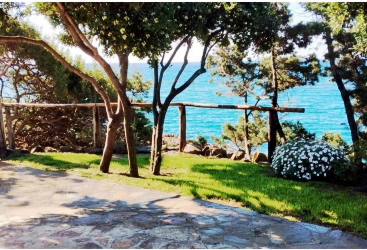 Villa Vera Trifamigliare Con Ingresso Diretto 20 Mt Al Mare Clima Wi-Fi Bbq Cala Liberotto Bagian luar foto