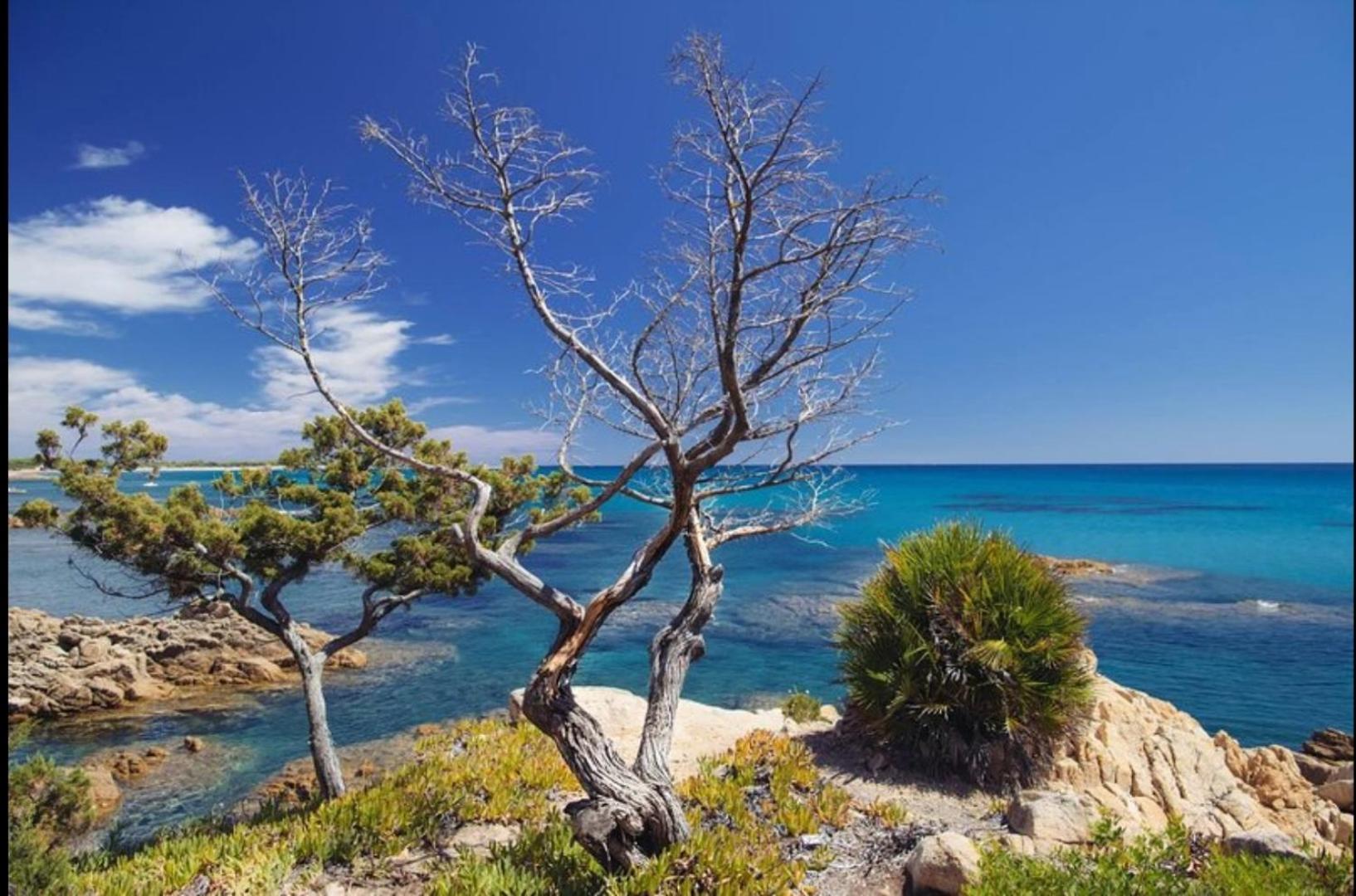 Villa Vera Trifamigliare Con Ingresso Diretto 20 Mt Al Mare Clima Wi-Fi Bbq Cala Liberotto Bagian luar foto